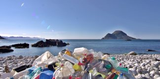 EU Parliament backs ban on single-use plastic products