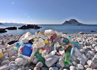 EU Parliament backs ban on single-use plastic products